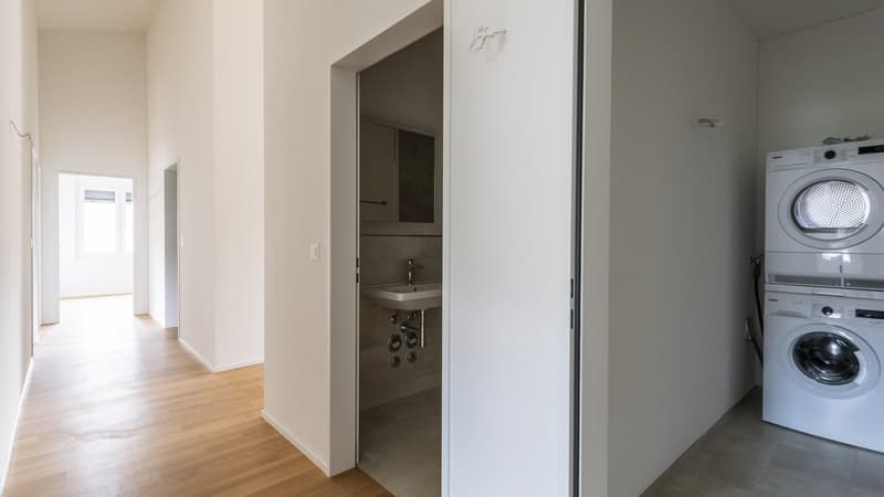 Cozy 4.5 Room Apartment in Hitzkirch (6)