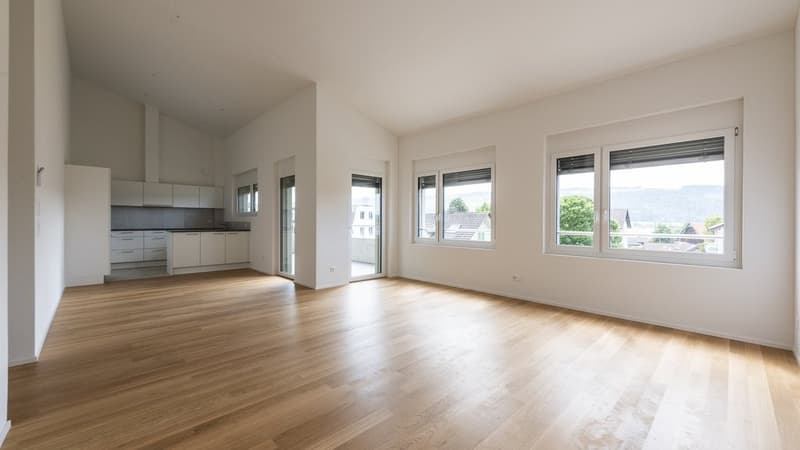 Cozy 4.5 Room Apartment in Hitzkirch (3)