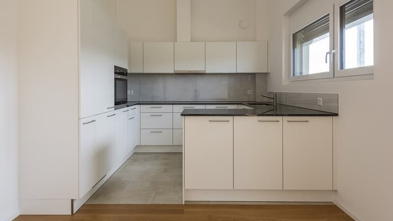 Cozy 4.5 Room Apartment in Hitzkirch (4)