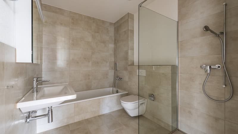 Cozy 4.5 Room Apartment in Hitzkirch (12)