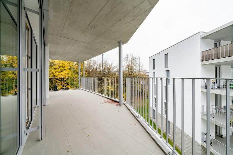MODERN AND SPACIOUS (8)
