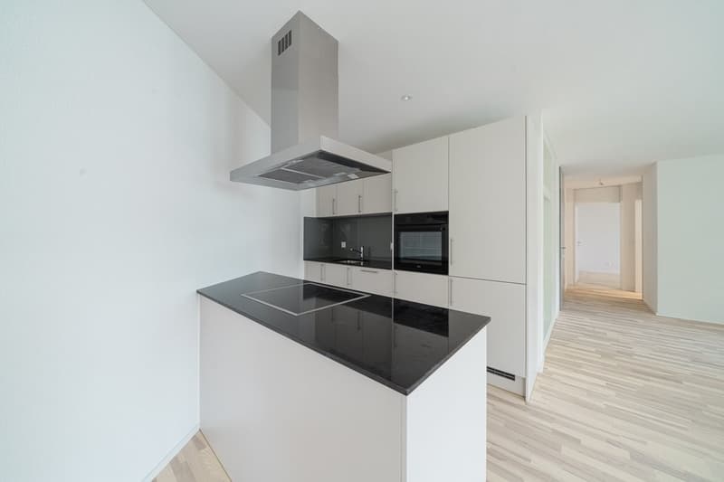 Habitation de haute qualité avec balcon ensoleillé (9)