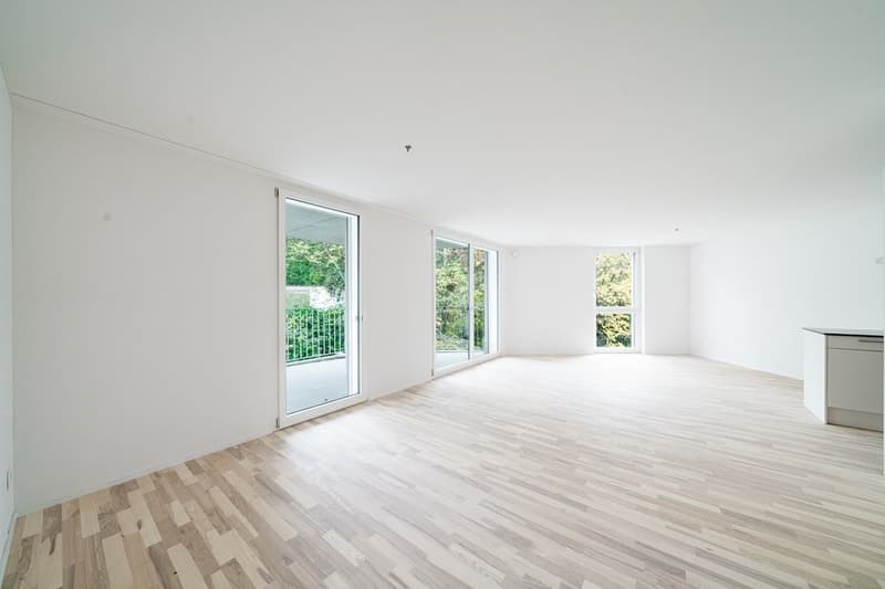 Habitation de haute qualité avec balcon ensoleillé (3)