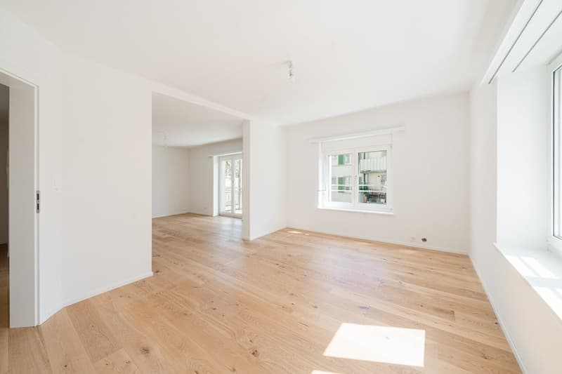 GEMÜTLICHE 2.5 ZIMMER-WOHNUNG IN ST. GALLEN (2)