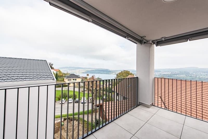 Appartement de rêve avec vue sur le lac à Birrwil (1)
