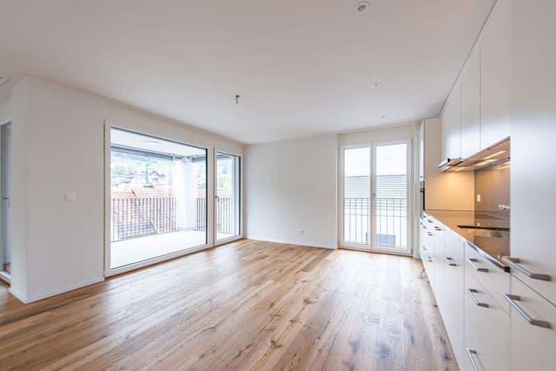 Appartement de rêve avec vue sur le lac à Birrwil (3)
