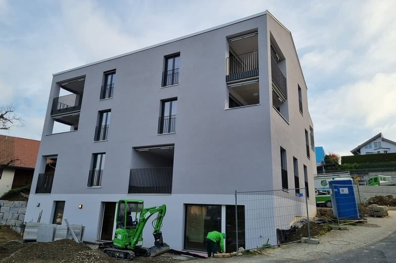 Appartement de rêve avec vue sur le lac à Birrwil (2)