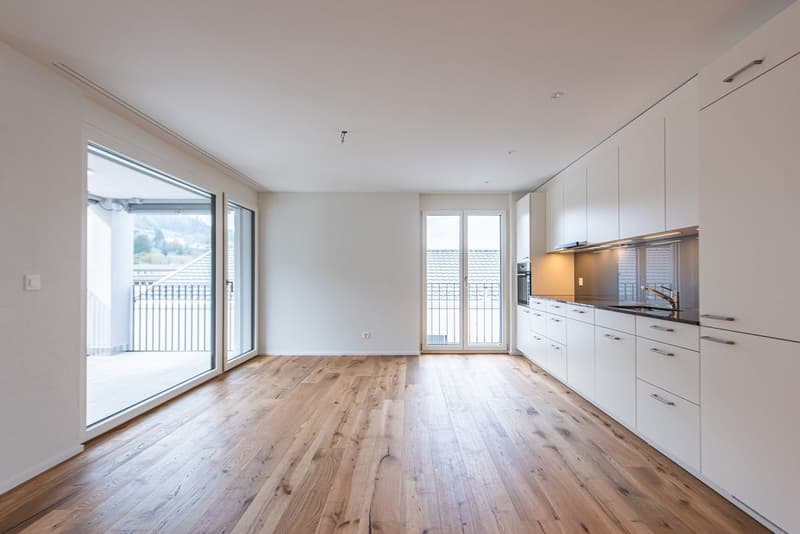 Appartement de rêve avec vue sur le lac à Birrwil (7)