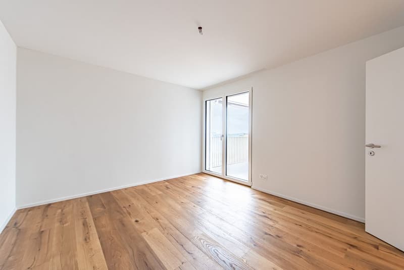 Appartement de rêve avec vue sur le lac à Birrwil (5)