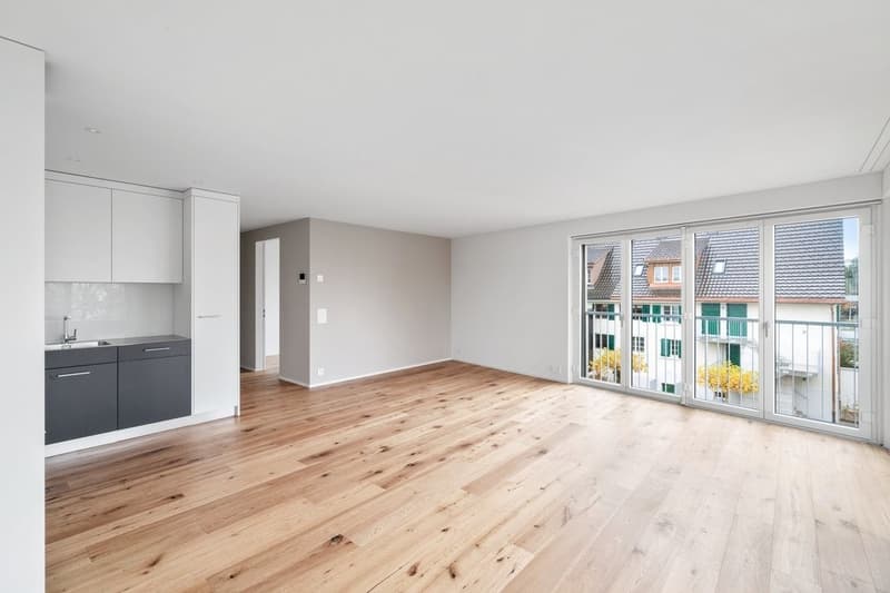Appartement moderne avec espace de jardin spacieux à Männedorf (2)