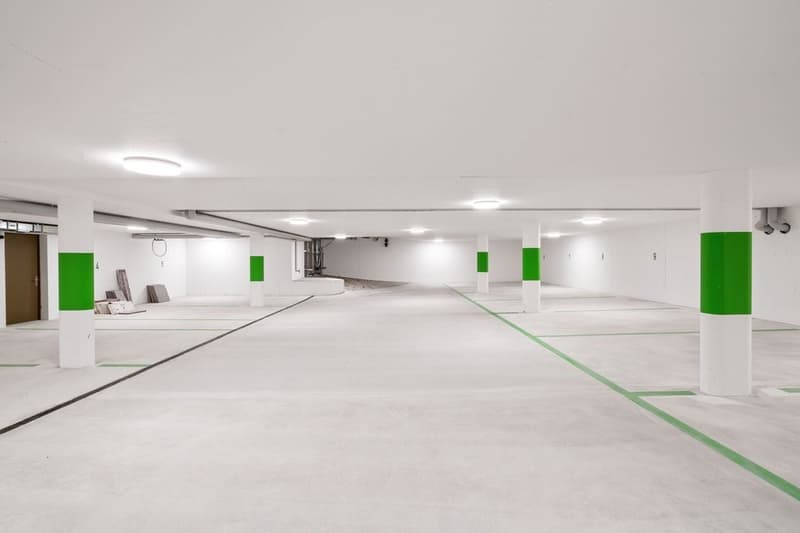 Appartement moderne avec espace de jardin spacieux à Männedorf (7)