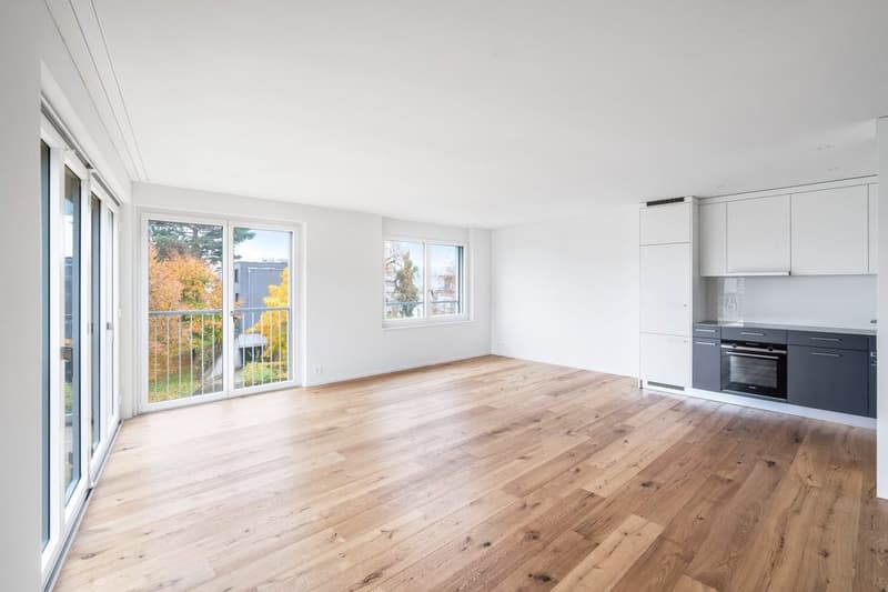 Appartement moderne avec espace de jardin spacieux à Männedorf (4)