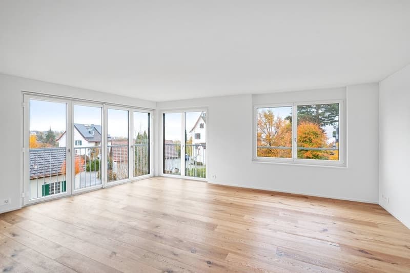 Appartement moderne avec espace de jardin spacieux à Männedorf (6)