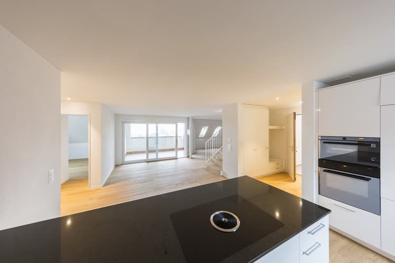 MODERNE WOHNUNG AN RUHIGER LAGE IN BRUNEGG (4)