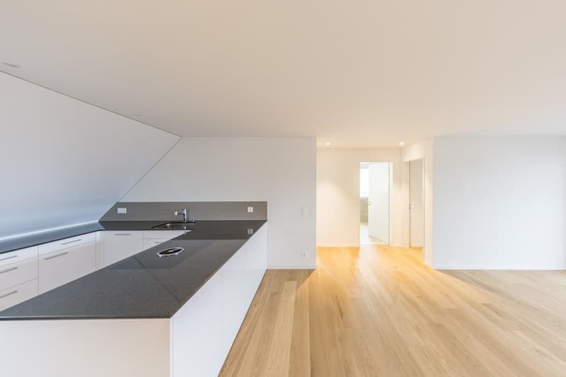 MODERNE WOHNUNG AN RUHIGER LAGE IN BRUNEGG (3)