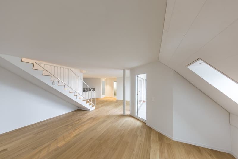 MODERNE WOHNUNG AN RUHIGER LAGE IN BRUNEGG (1)