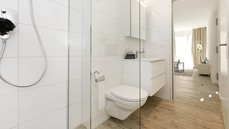 EINZIGARTIGE MAISONETTE-WOHNUNG IN SAFENWIL (12)