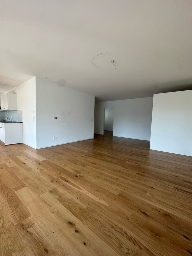 GEMÜTLICHE 3.5 ZIMMER-WOHNUNG IN REINACH ZU VERMIETEN (4)