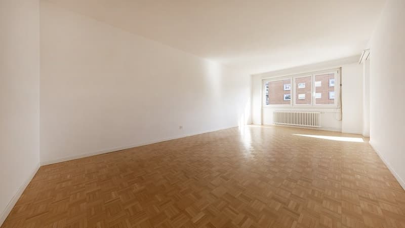 ZENTRALE 4 ZIMMER-WOHNUNG IN OLTEN (3)