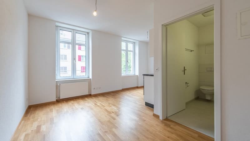 GEMÜTLICHE 1.5 ZIMMER-WOHNUNG IN BASEL (4)
