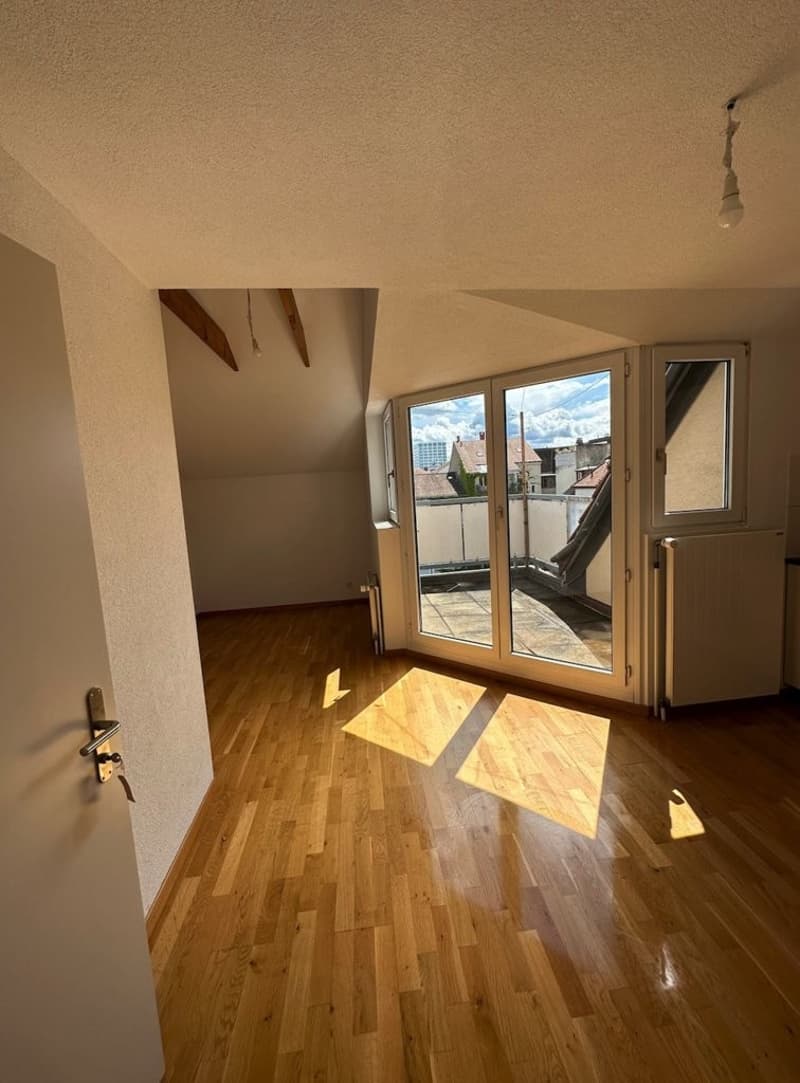 GEMÜTLICHE 1.5 ZIMMER-WOHNUNG IN BASEL (3)