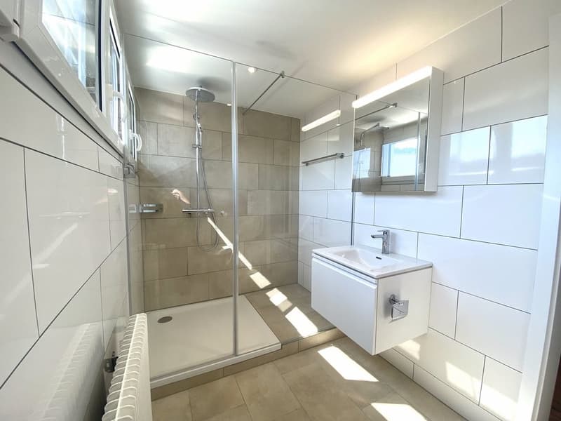 SANIERTE KLEINWOHNUNG MIT TRAUMHAFTEM BAD (3)