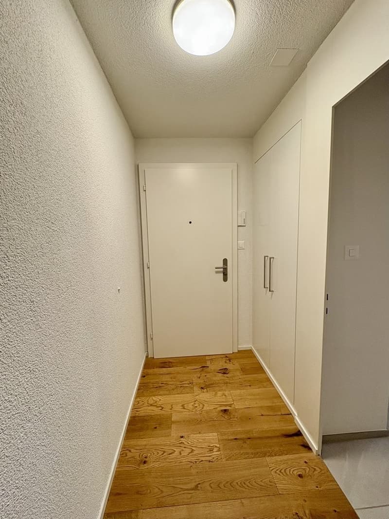 MODERNE, KLEINE 3.5 ZIMMER-WOHNUNG AN ZENTRALER LAGE ZU VERMIETEN (7)