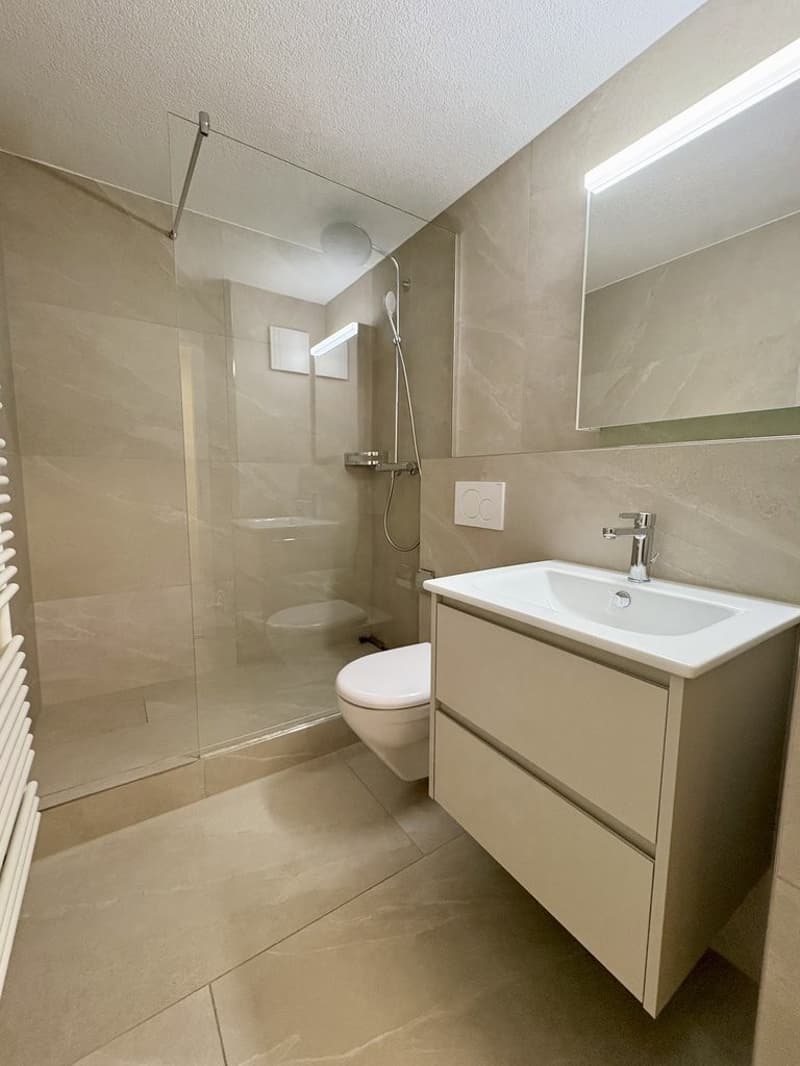 MODERNE, KLEINE 3.5 ZIMMER-WOHNUNG AN ZENTRALER LAGE ZU VERMIETEN (8)
