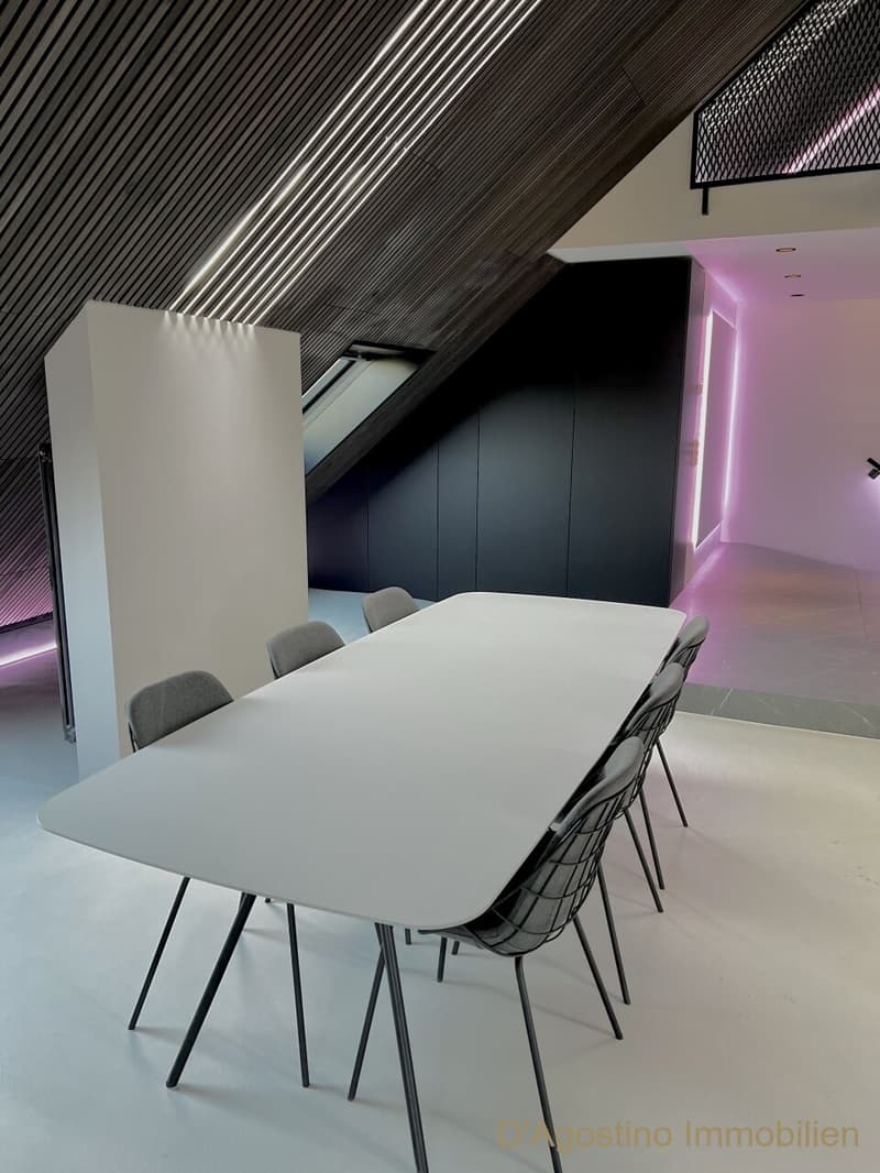 Loft résidentiel et de travail exclusif près de la gare de Baar ZG (en partie meublé) (3)