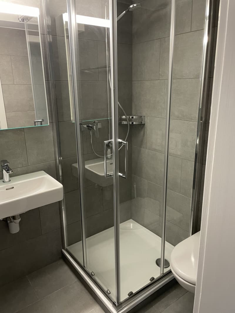 Studio renovated and furnished (3)