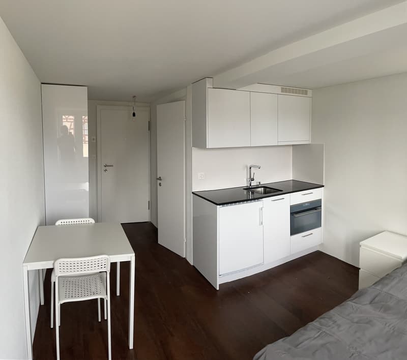 Studio renovated and furnished (2)