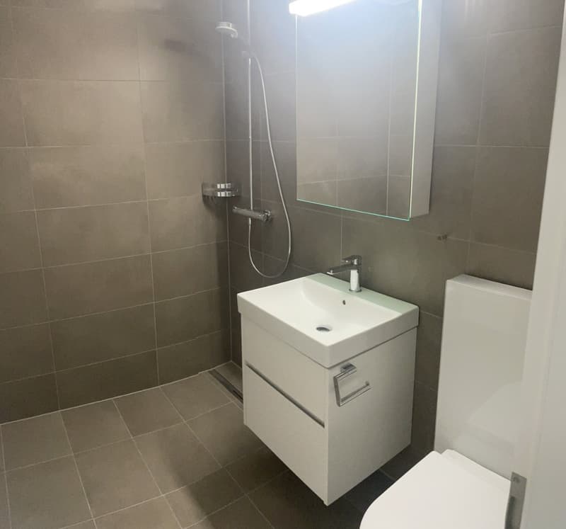 2,5-Zimmer-Wohnung (4)