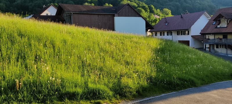 Three houses on a hill, one white, one white with brown, and one brown
