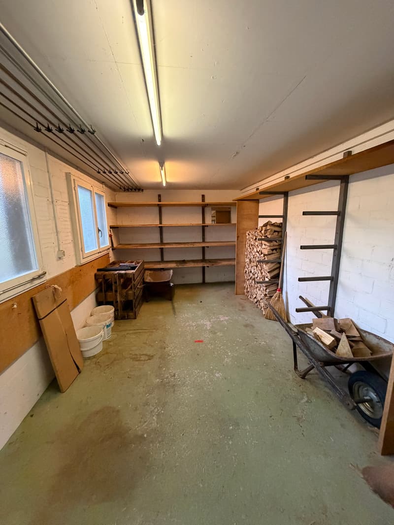 Storage room with shelves, buckets, wheelbarrow, and firewood.