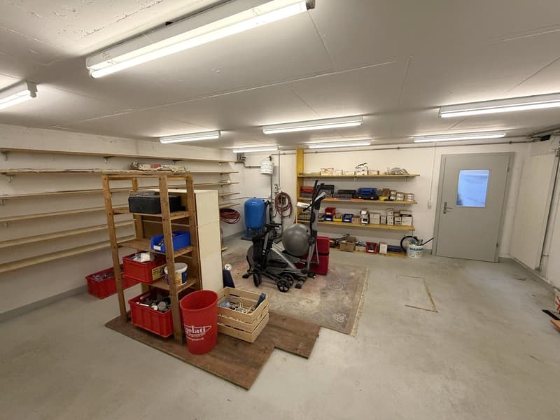 Storage room with shelves, exercise equipment, buckets, and storage boxes