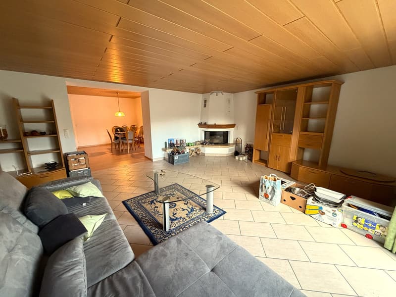 Fireplace, couch, coffee table, rug, wooden cabinets, dining table, chairs