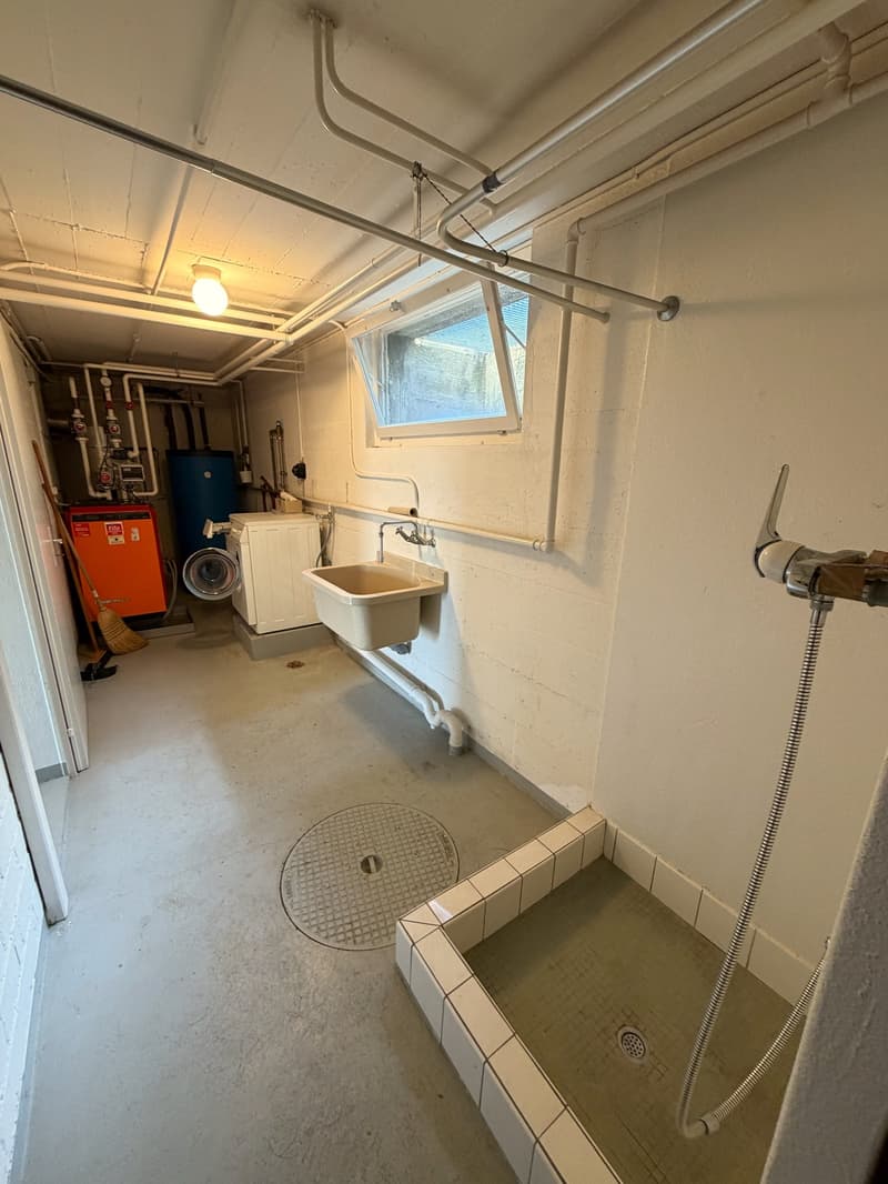 Laundry room with washing machine, sink, and shower