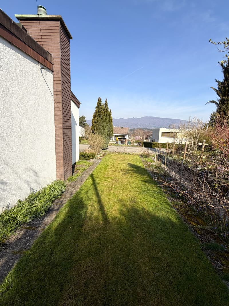 Green lawn, shrubs, trees, mountains in the background