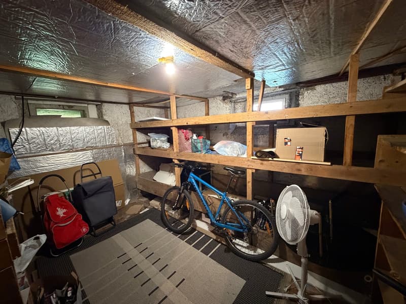 Storage room with wooden shelves, bicycle, fan, trolleys, boxes, and various items
