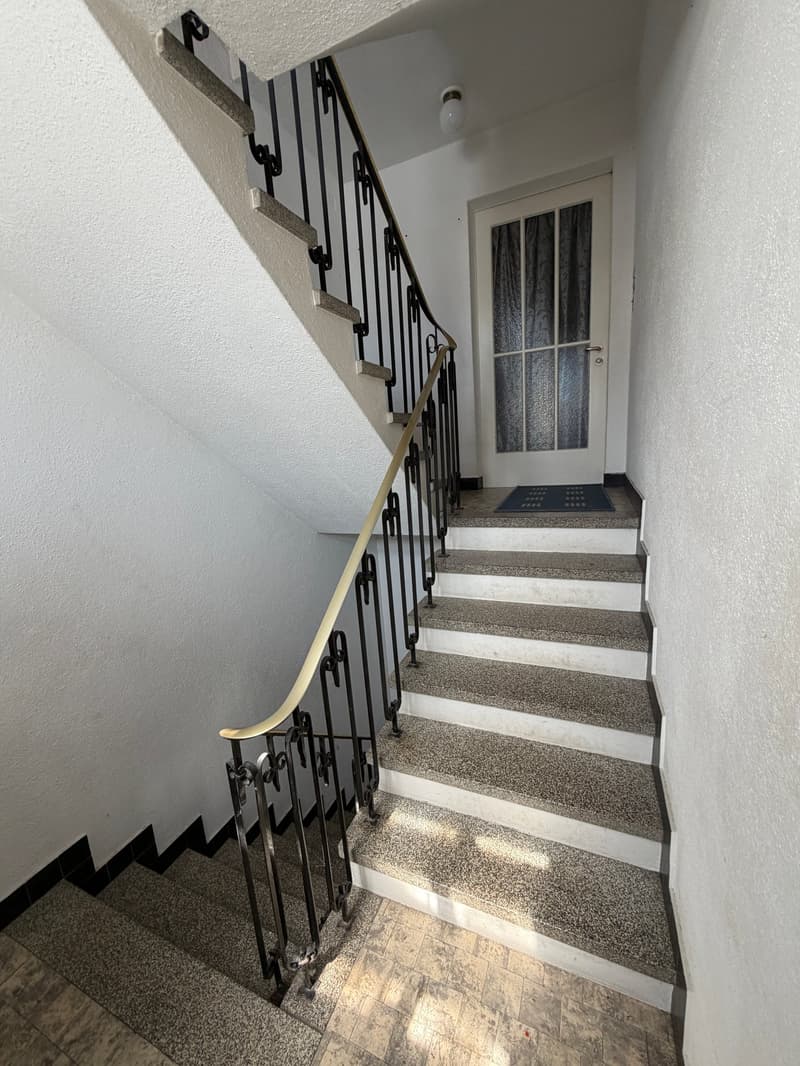 Stone steps, black metal railing, white door, light fixture