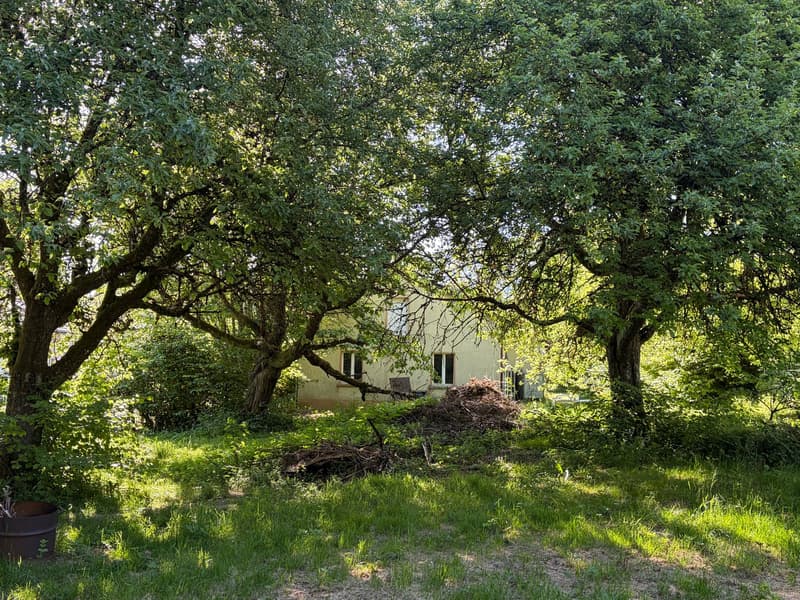 Detached house with outbuilding and forest on 2 plots with a total of 2,461 m2 in a quiet location (3)