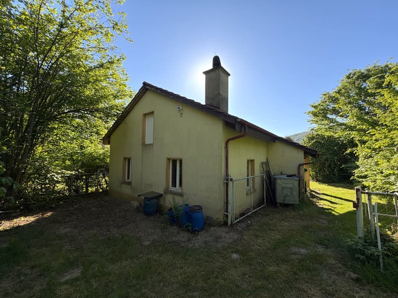 Detached house with outbuilding and forest on 2 plots with a total of 2,461 m2 in a quiet location (4)