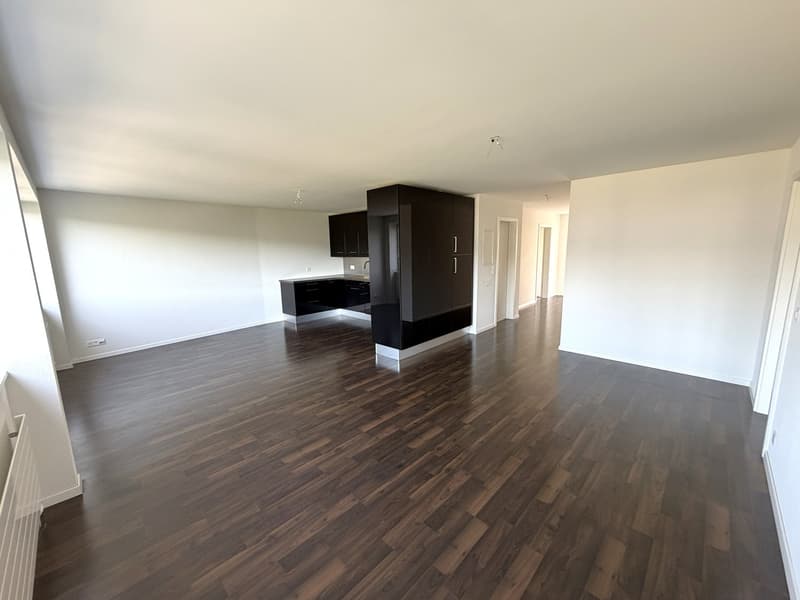 Appartamento luminoso 4.5 locali con balcone, ascensore e vista a Olten (1)