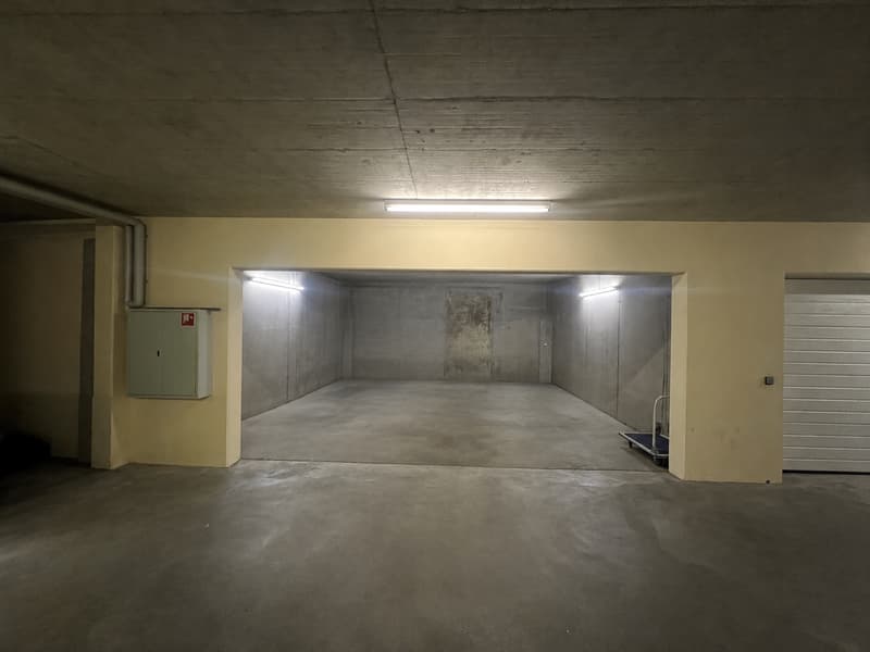Appartamento esclusivo di 6,5 locali vicino a Basilea (9)
