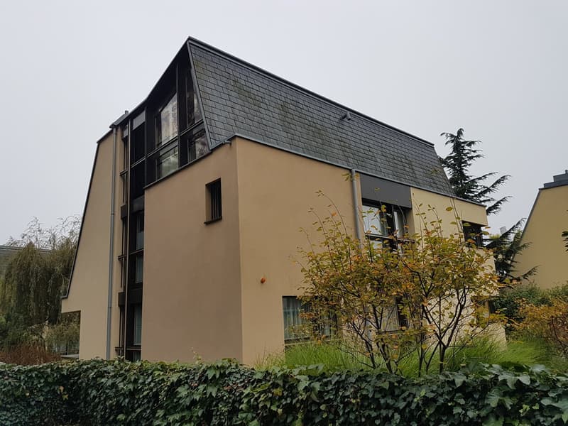 Appartamento esclusivo di 6,5 locali vicino a Basilea (10)