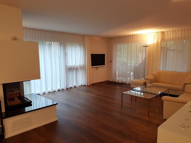 Appartamento esclusivo di 6,5 locali vicino a Basilea (3)