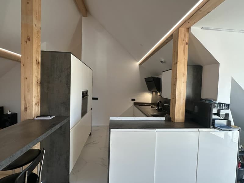 Appartamento mansardato unico (5,5 locali) con grande terrazza (29)