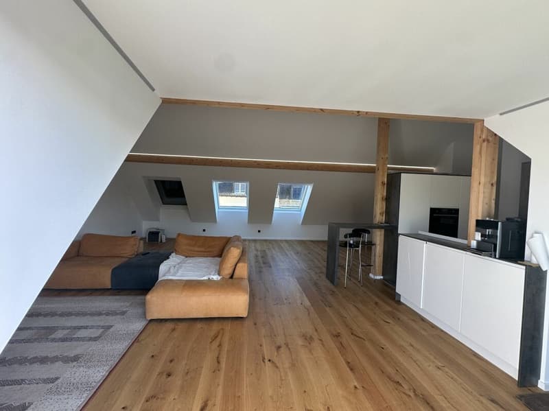 Appartamento mansardato unico (5,5 locali) con grande terrazza (8)