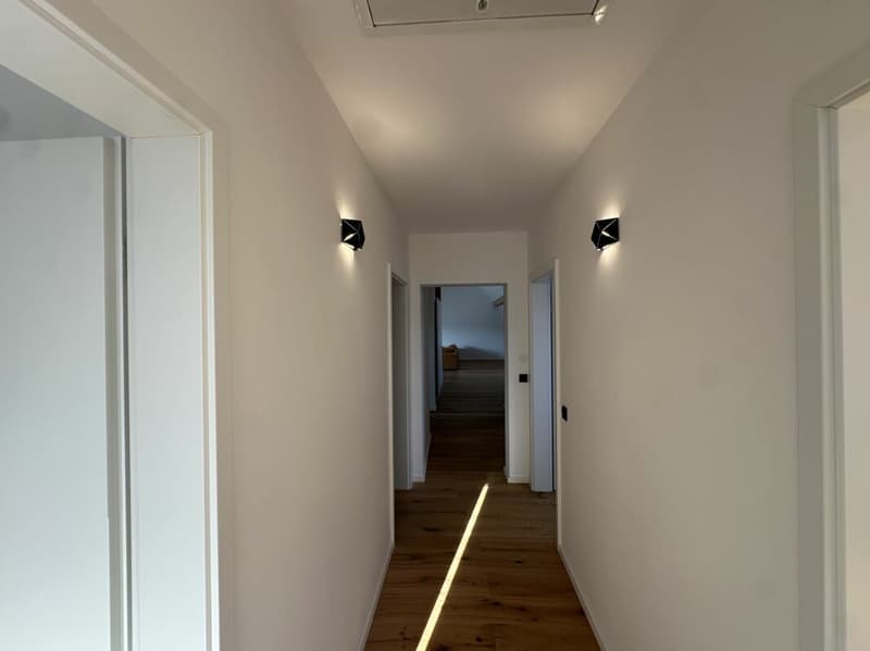 Appartamento mansardato unico (5,5 locali) con grande terrazza (28)