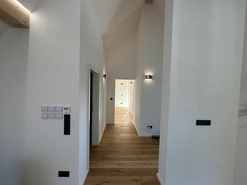 Appartamento mansardato unico (5,5 locali) con grande terrazza (25)